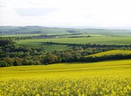 Kardinál Duka znovu poukázal na restituční problémy zemědělců