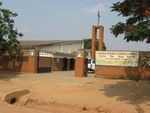 zambie 2011 100