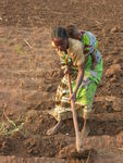 zambie 2011 179.jpg