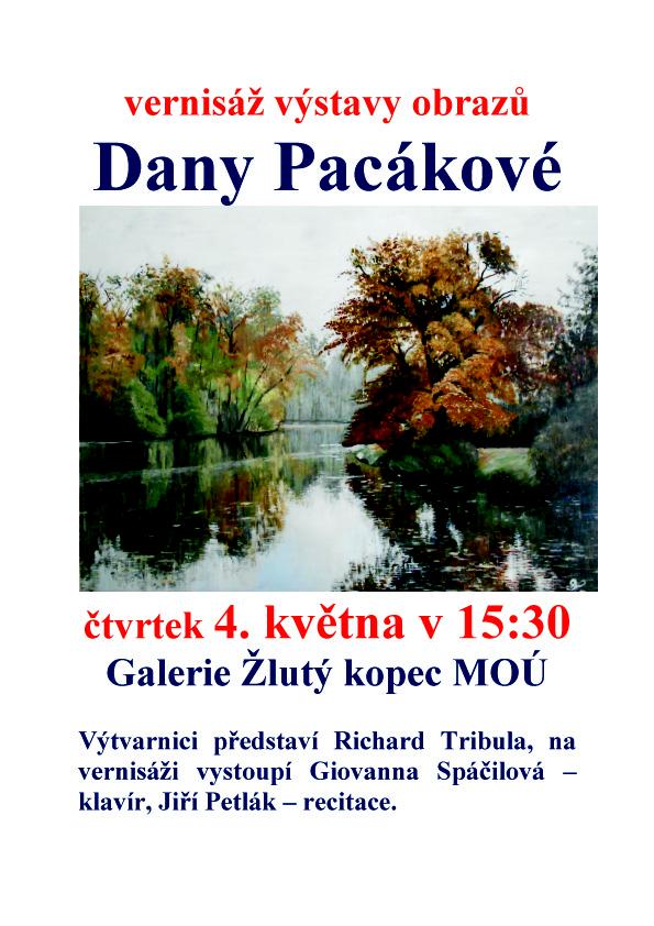 brno zluty kopec vystava Pacáková