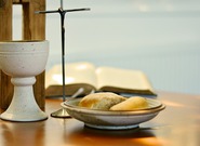 P. Kopeček: Eucharistický kongres se zabývá i společensko-politickými tématy