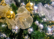 Očekávané události středy, 24. prosince 2025