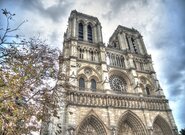 Schválen plán obnovy pařížské katedrály Notre Dame