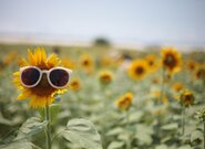 Plzeňský multižánrový festival Depo v letu
