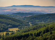 Panenská sklizeň čeká novou arcibiskupskou vinici na Velehradě