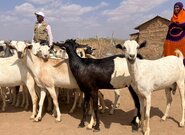 ADRA pomohla stovkám Etiopanek s rozvojem podnikání