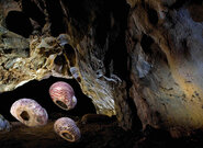 Kateřinská jeskyně stále vydává nové objevy, říká speleolog. Zavedou nový prohlídkový okruh